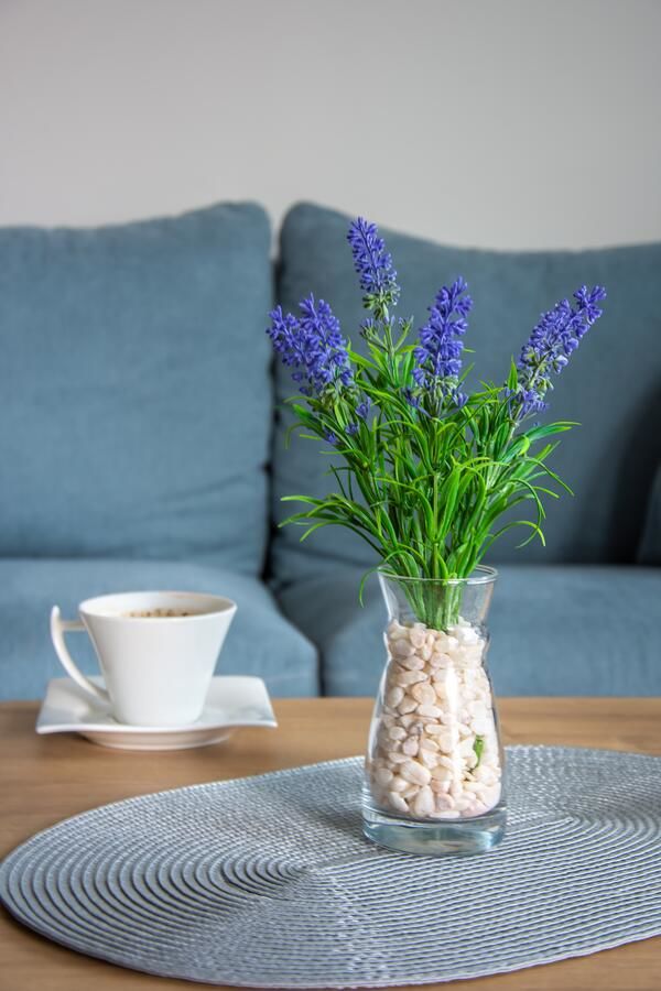 Апартаменты Ralux apartman Tivat Тиват